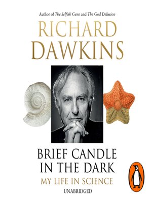 cover image of Brief Candle in the Dark